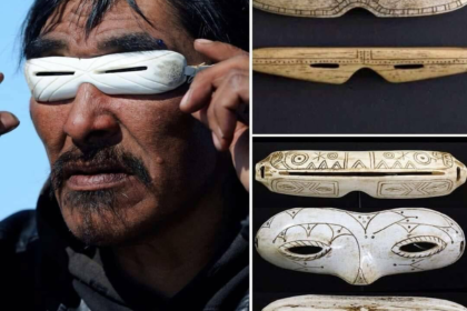 The First Sunglasses Wiser Websites